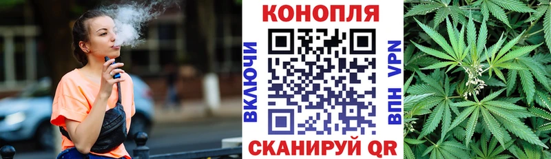Бошки Шишки ГИДРОПОН  Благодарный 